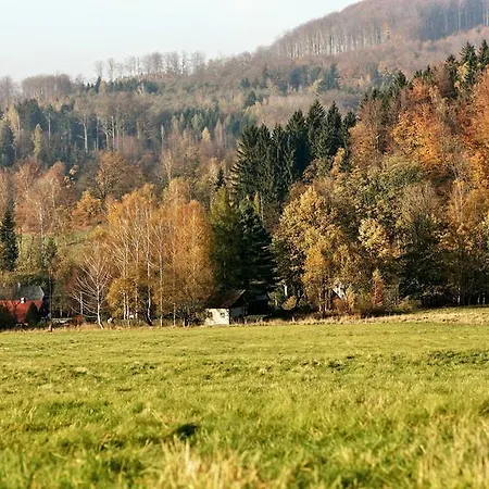门西尔旅馆 Chřibská