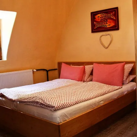 Guest house Mencl 2*